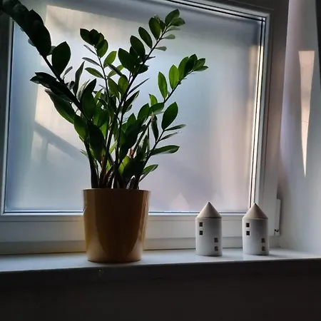 Viva Lägenhet Lovran