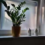 Viva Apartament Lovran