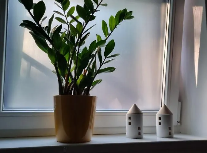 Viva Apartment Lovran